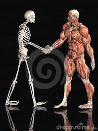 nice to meet you 
